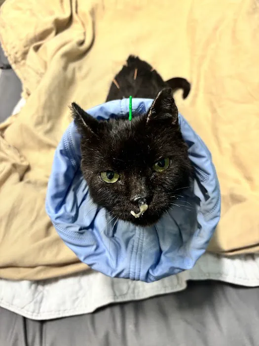 Healing Paws Veterinary Rehabilitation 9