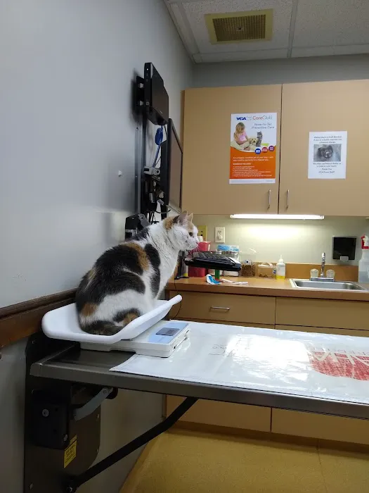 VCA Povar Animal Hospital 8