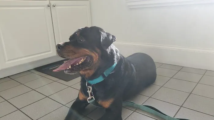 Eastside Veterinary Clinic 8