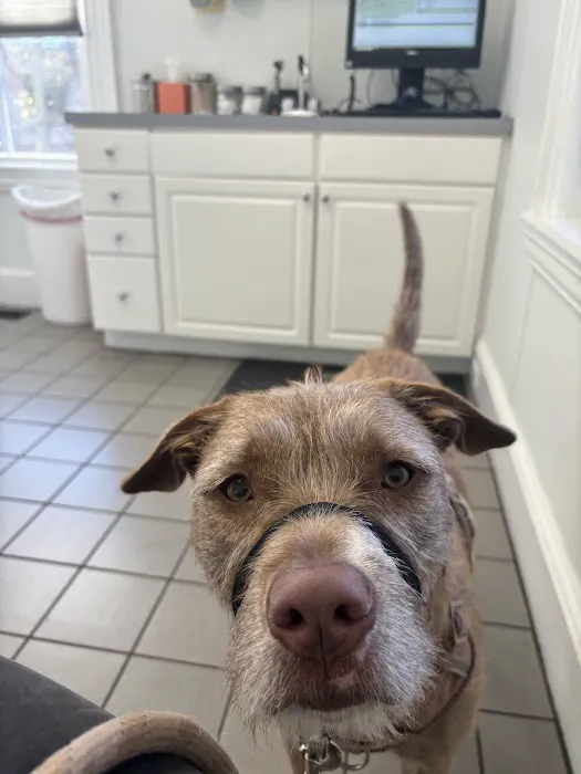 Eastside Veterinary Clinic 1