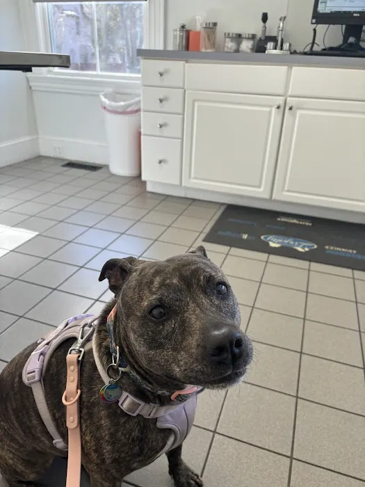 Eastside Veterinary Clinic 2