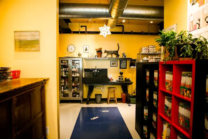 City Kitty Veterinary Care for Cats 8