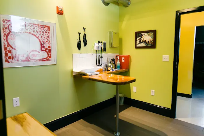 City Kitty Veterinary Care for Cats 7