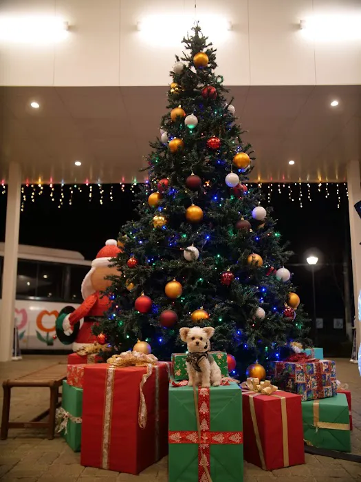 Vetco Total Care Animal Hospital 7