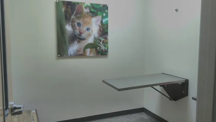 Vetco Total Care Animal Hospital 10