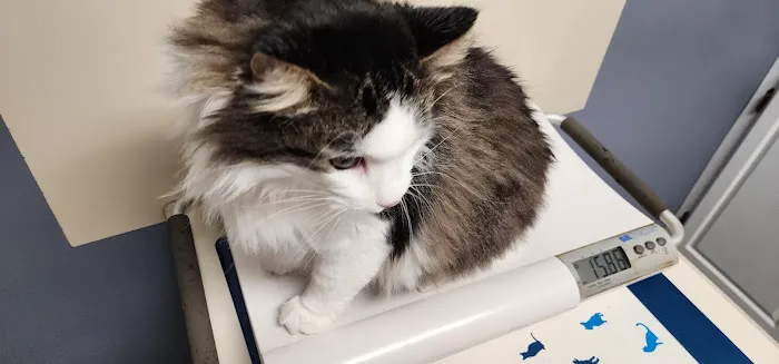 South Jefferson Veterinary Hospital 10