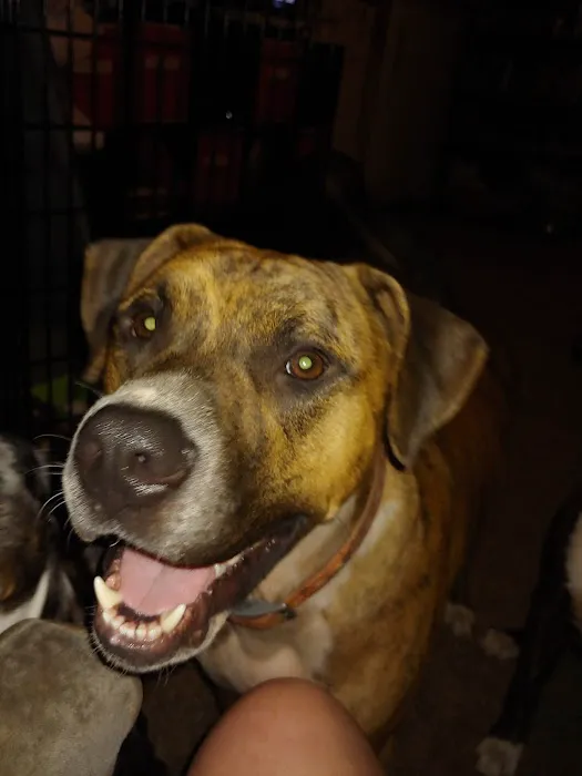 South Jefferson Veterinary Hospital 7