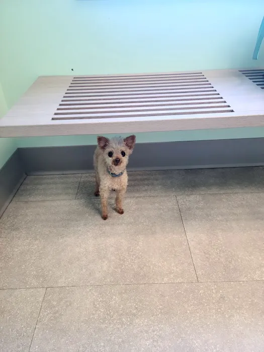 Fulton Animal Hospital 7