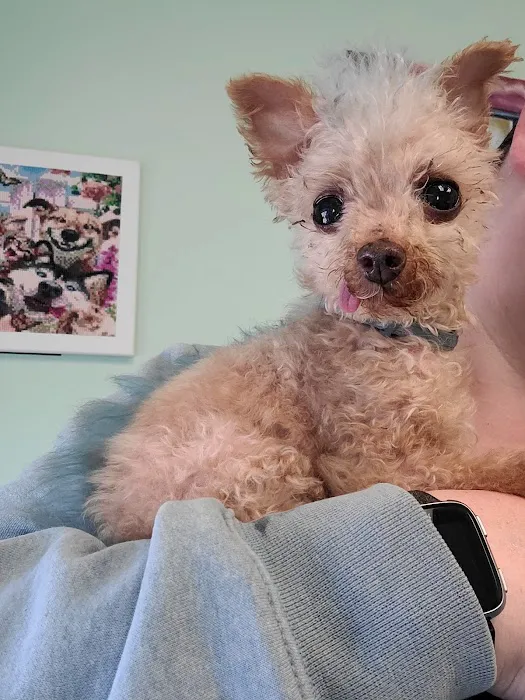 Fulton Animal Hospital 4