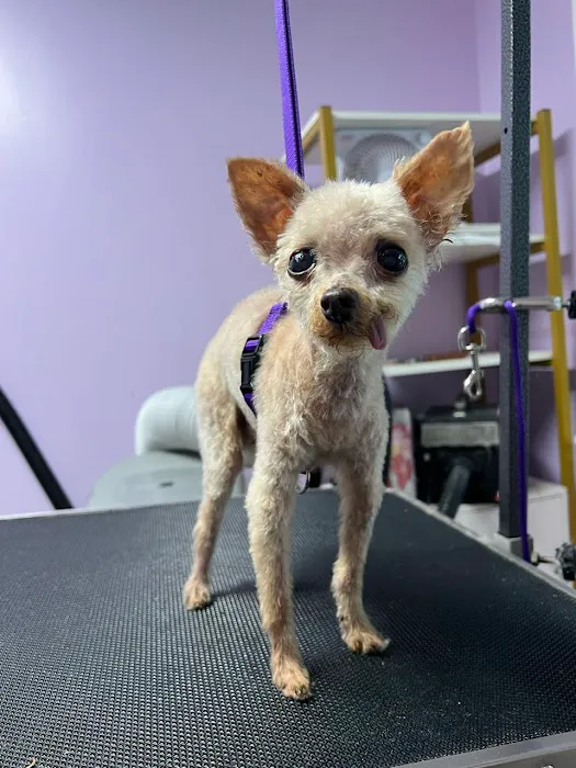 Fulton Animal Hospital 3