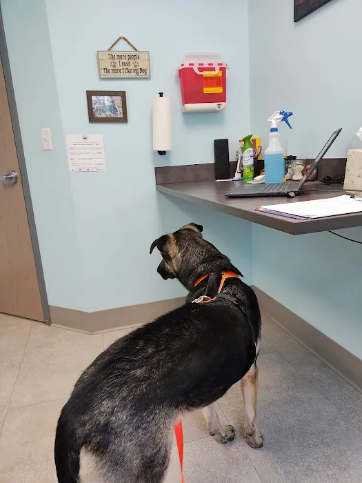 Fulton Animal Hospital 5