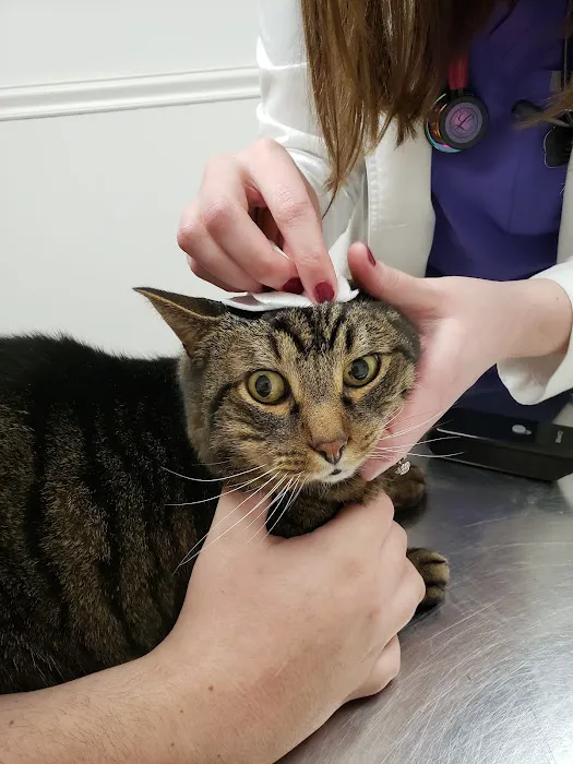 Lake Country Veterinary Care 4