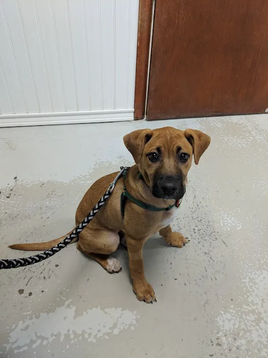 Lake Country Veterinary Care 2