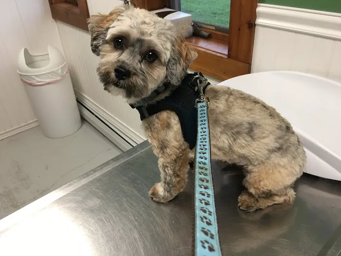 Lake Country Veterinary Care 8