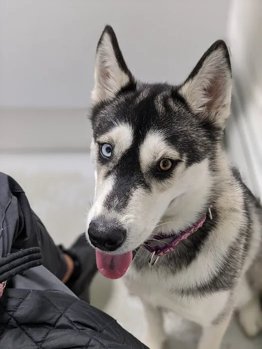 Lake Country Veterinary Care 7