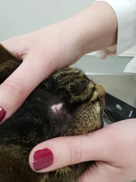 Lake Country Veterinary Care 9
