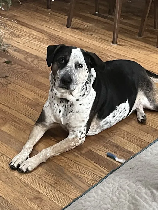 Lake Country Veterinary Care 5