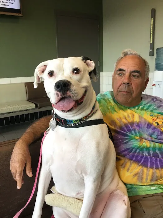 Animal Wellness of Skaneateles 6