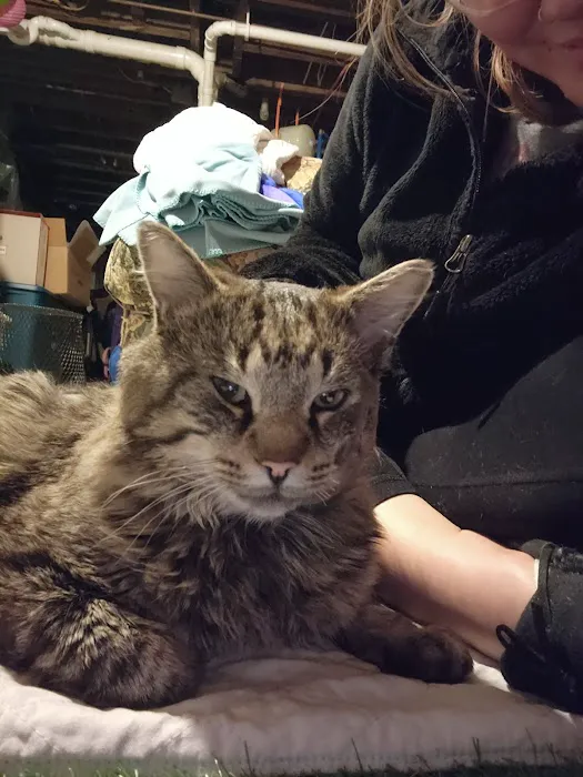 Animal Wellness of Skaneateles 10