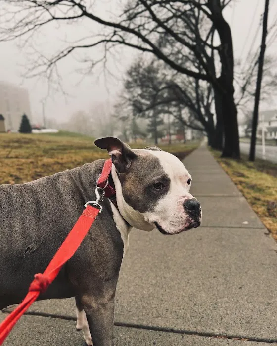 Animal Wellness of Skaneateles 9