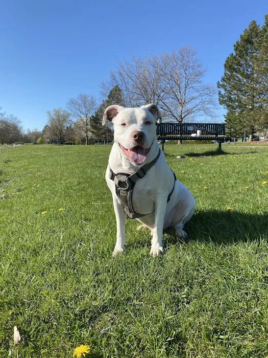 Nichols Veterinary Hospital 9