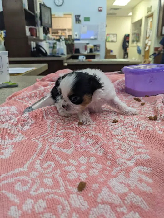 Wilmington Animal Fitness & Rhb 2