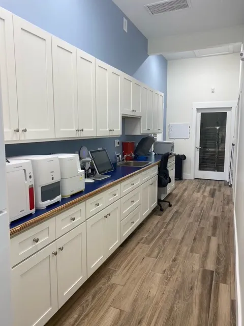 Paw Springs Veterinary Hospital - Midtown 8