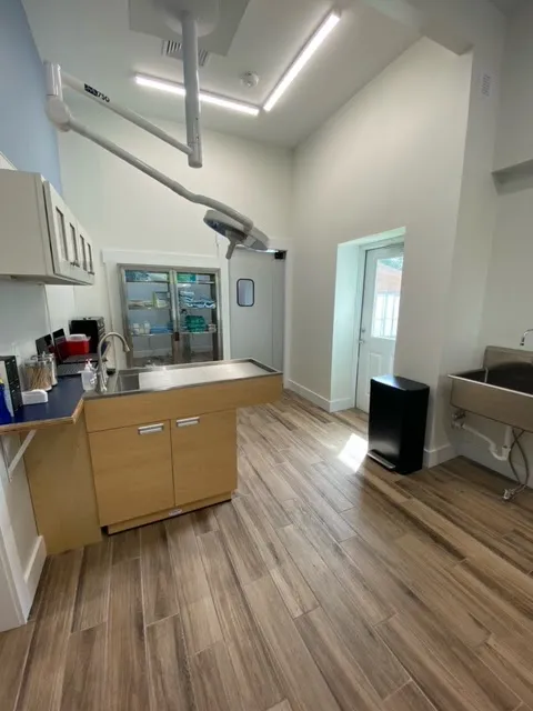 Paw Springs Veterinary Hospital - Midtown 6