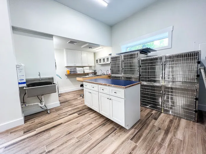 Paw Springs Veterinary Hospital - Midtown 7