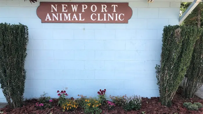 Newport Animal Clinic 7