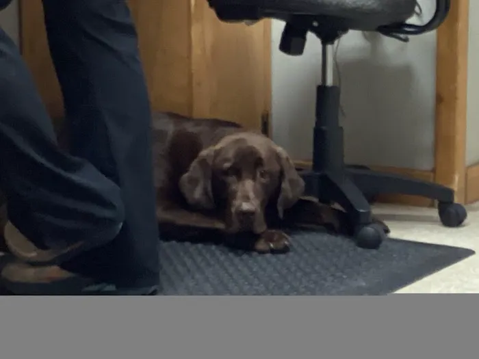 Newport Animal Clinic 8
