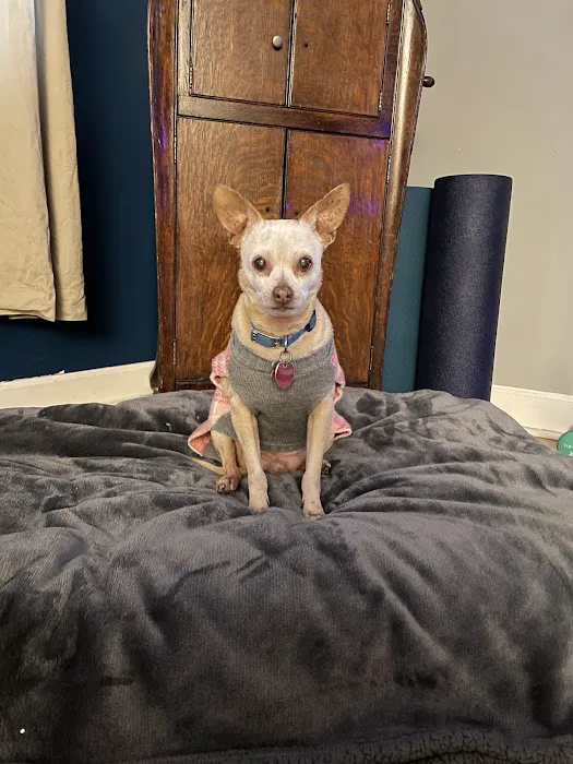 Newport Animal Clinic 6