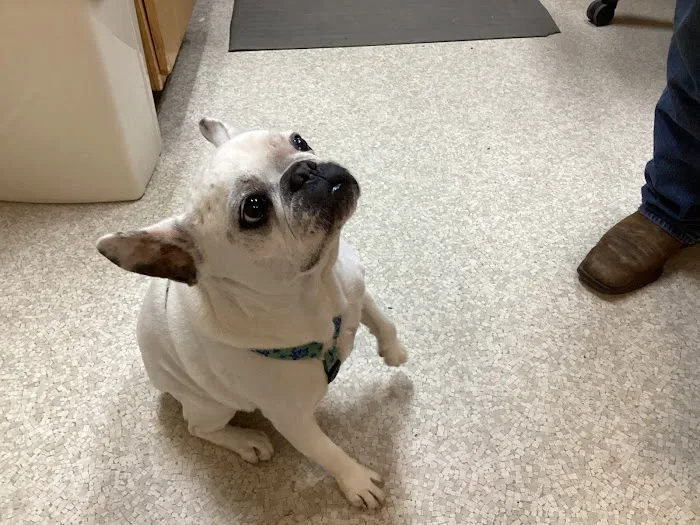 Newport Animal Clinic 9