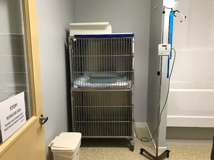 Emergency Pet Hospital of Craven-Carteret 2
