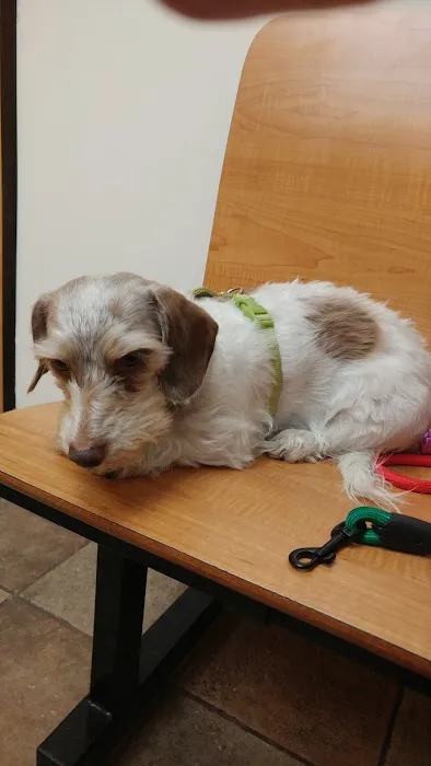 Banfield Pet Hospital 4