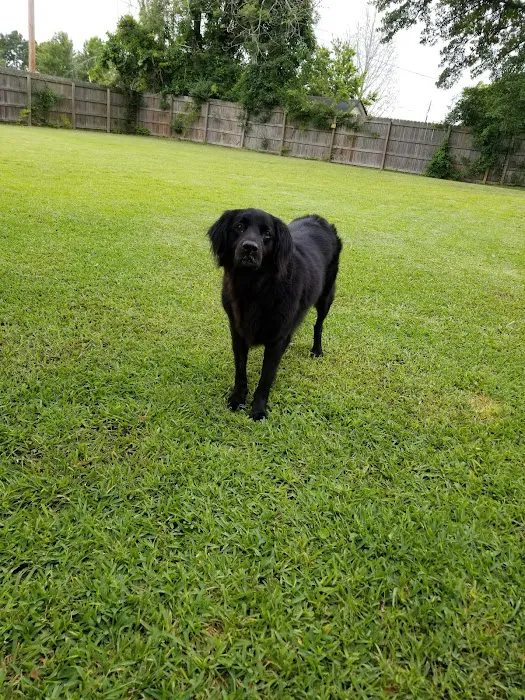 Banfield Pet Hospital 8