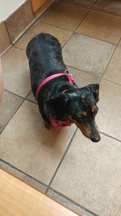 Banfield Pet Hospital 2