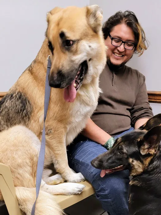 Havelock Animal Hospital 4