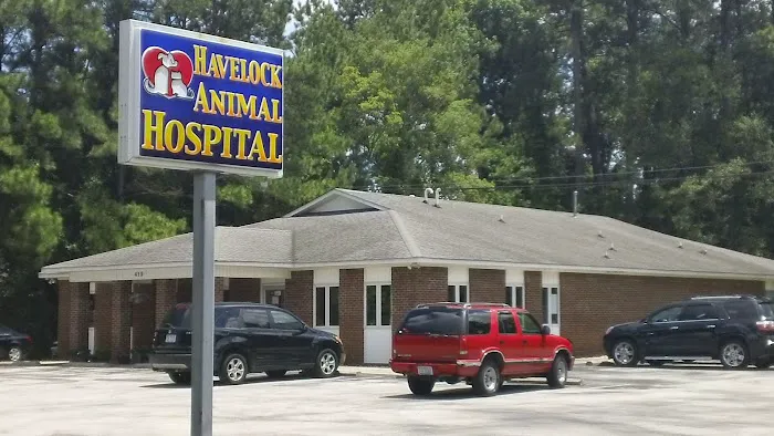 Havelock Animal Hospital 1