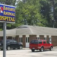 Havelock Animal Hospital ico