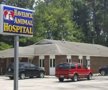 Havelock Animal Hospital