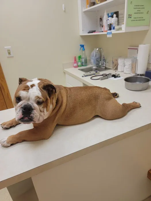 Mitchell Village Animal Hospital 6
