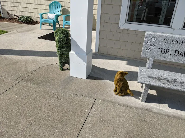 Mitchell Village Animal Hospital 4