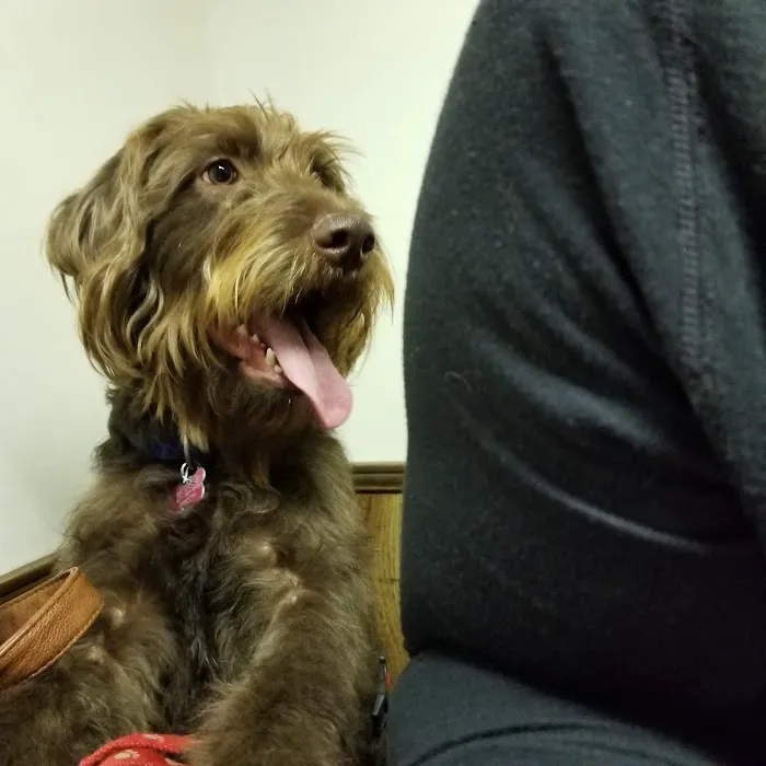Bishop Animal Hospital 6