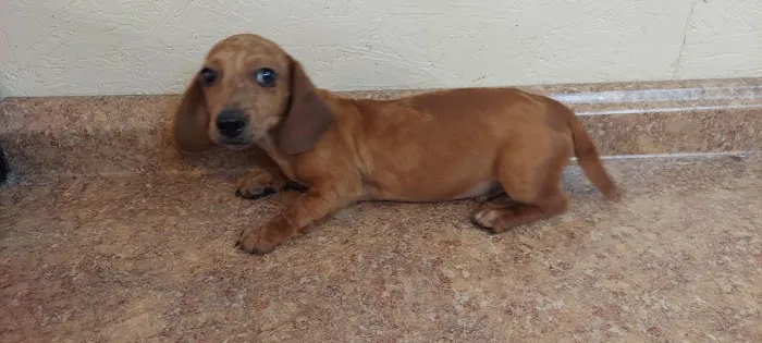 Bishop Animal Hospital 7