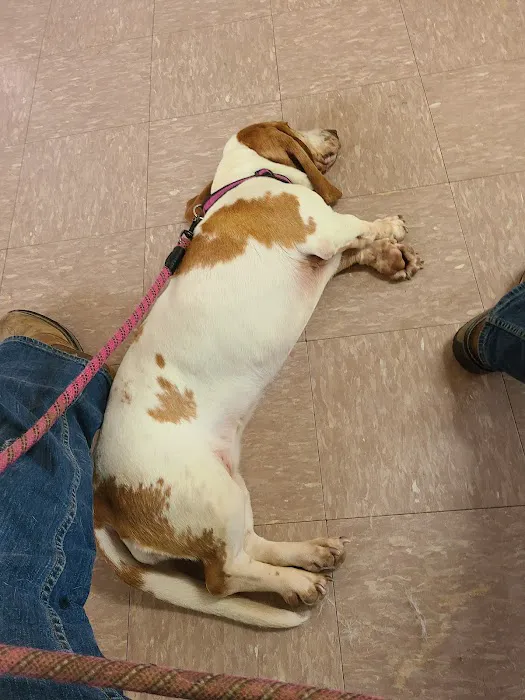 Bishop Animal Hospital 4