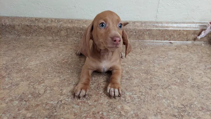 Bishop Animal Hospital 5