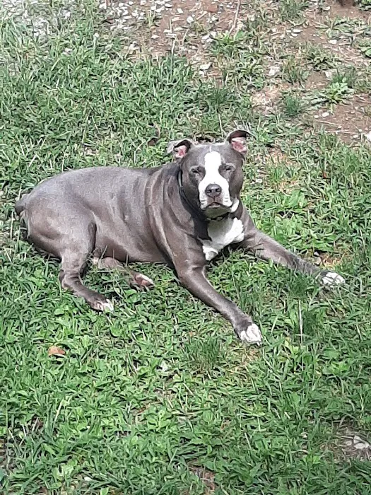 Claysville Animal Care 9