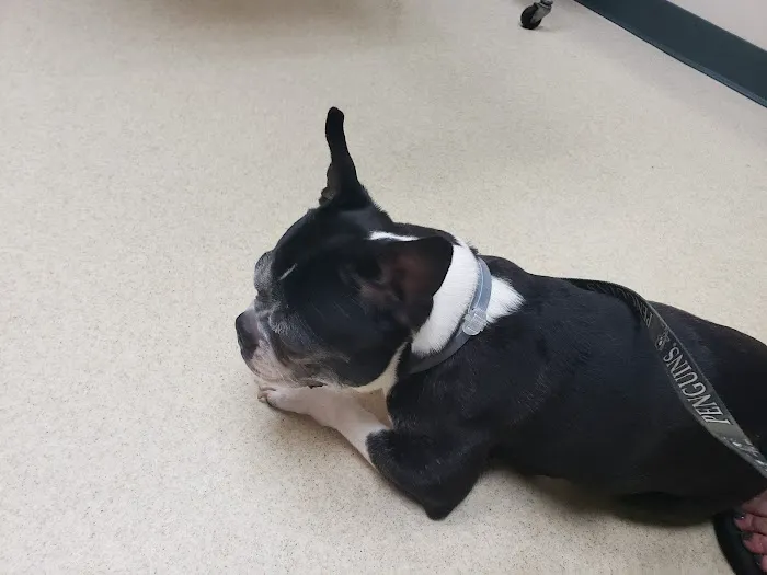 Claysville Animal Care 4