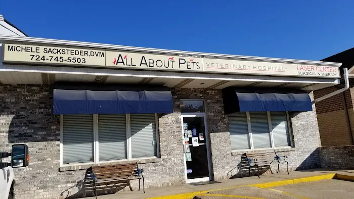 All About Pets Veterinary Hospital 5